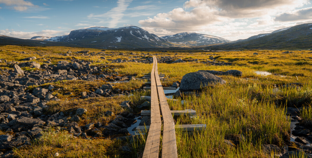 Kungsleden