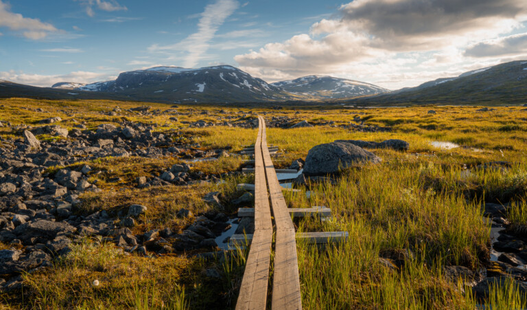 Kungsleden